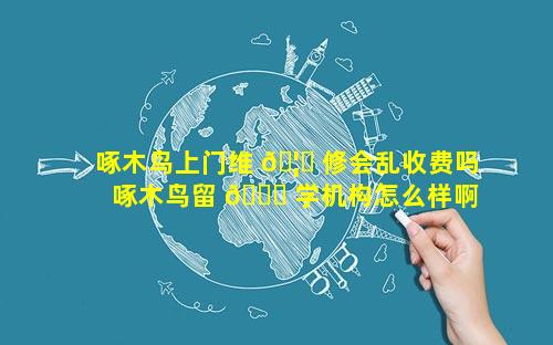 啄木鸟上门维 🦉 修会乱收费吗 啄木鸟留 💐 学机构怎么样啊